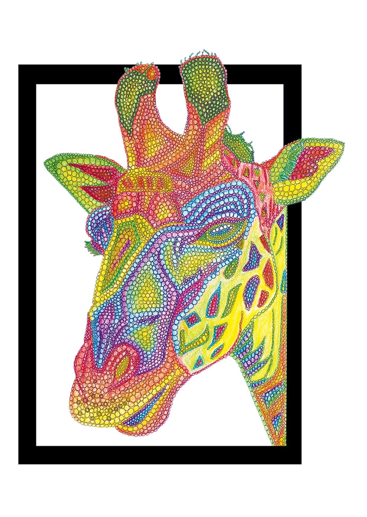 Masai Giraffe